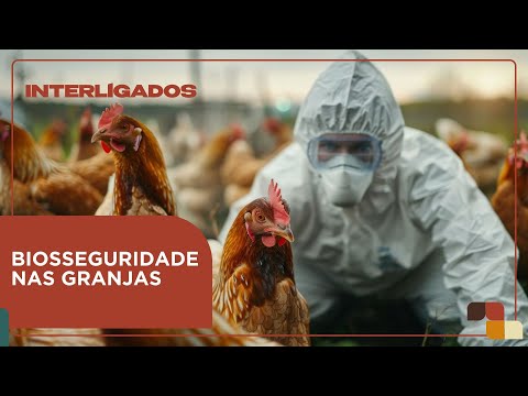 Especialista reforça a importância da biosseguridade nas granjas  | Interligados - 26/05/2025