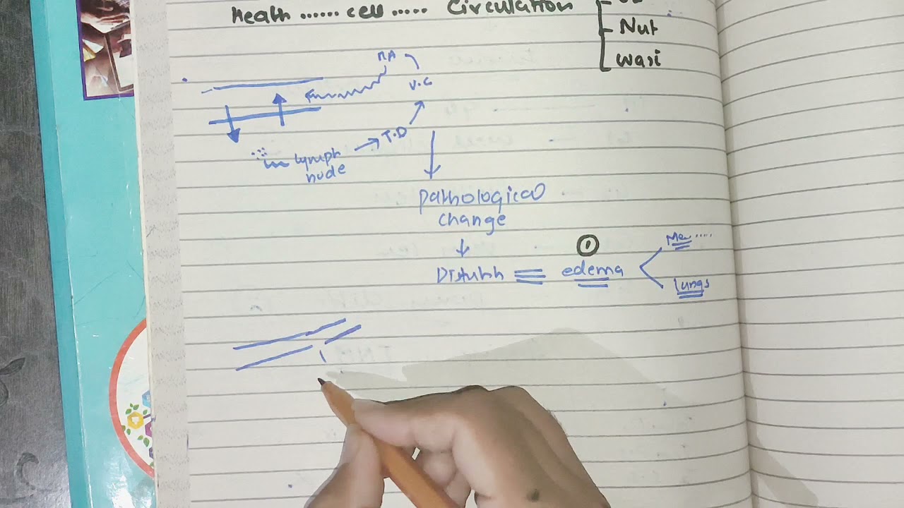 Hemodynamic chapter overview 