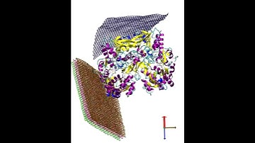 Molecular Dynamics (MD) Simulation of Glucose Oxidase (GOx) with Graphene
