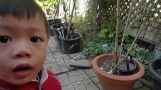 20161006 Tri Tue Garden Peltrie 2