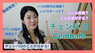 必見！【チェンバロ徹底解説】楽器の中身を覗いてみよう！レジスター使い分け、音色の変化！ - 河端梢