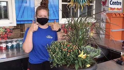 How to Make Your Own Fall Planter