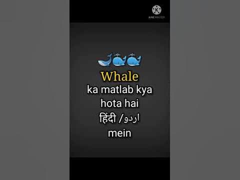 Whale meaning in HINDI/URDU | Whale pronunciation | Whale sentence