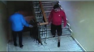 Opoznanie Kraja Koshelka Na Tv