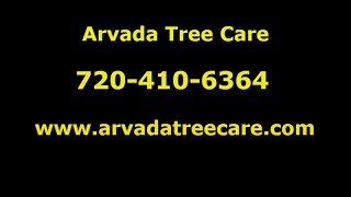 Arvada Tree Care