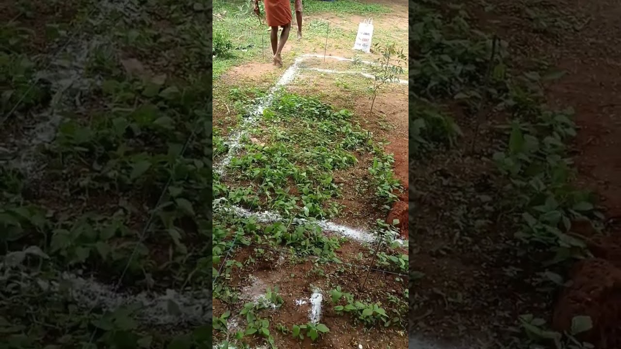 how to Mark the site marking 