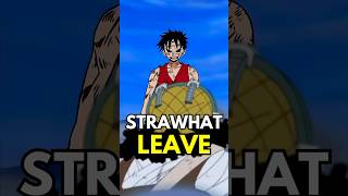 All 7 Times Strawhats Left The Crew