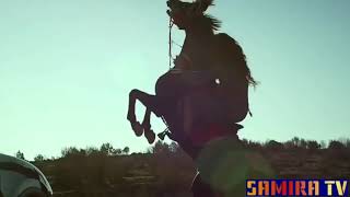 Песня просто бомба🔥🌹🌹❤️❤️❤️💞♥️💕🇹🇯🇹🇯🇹🇯