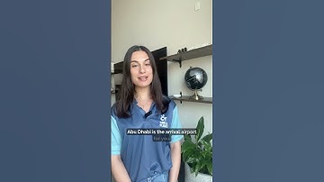 Flying to the UAE In Cabin With Your Pet 1/3: Airports, Airlines & Size Rules