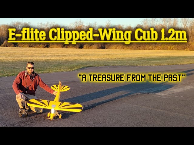 E-flite Propeller & Spinner Set 12 X 8 – Originales Ersatzteil Für Clipped Wing Cub 1.2, Kunststoff