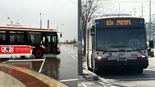 TTC Bus 199