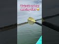 #fyp