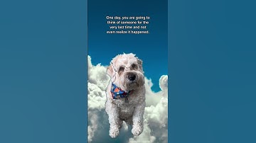 Thinking About… the Last Goodbye  🐶 @TheJessiiShow #TheManniiShow.com/series