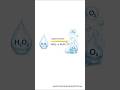 Why does Hydrogen Peroxide Bubble with some Bacteria?| Microbiology #medical