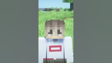 Top 5 Best Minecraft Plugins #minecraft