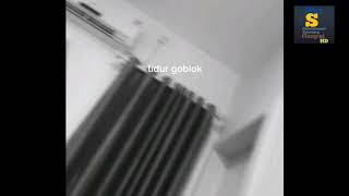 STORY WA TERBARU 2021 || TIDUR GOBLOK
