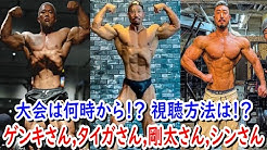 ハトクマ Hatokuma Youtube