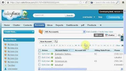 Migration of Data between Msaccess and Salesforce.avi