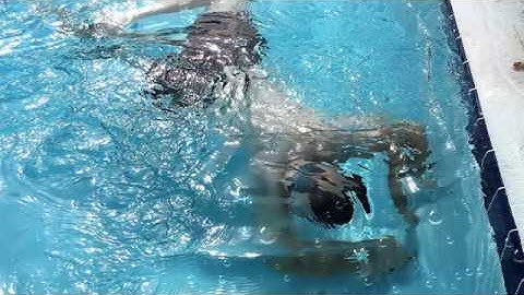 Black Algae Myth Busted