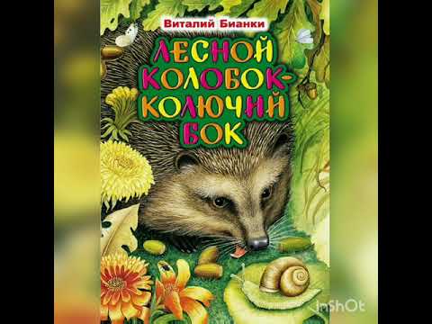 Проект"Читай книгу ребёнку" сказка В. Бианки "Лесной колобок - колючий бок"