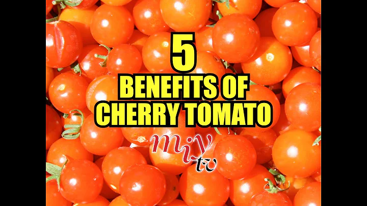 CHERRY TOMATO HEALTH BENEFITS | MIY TV