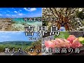 【教えたくない】喜界島ひとり旅。奄美大島の隣にあるサンゴでできた島が観光客に優しすぎて最高すぎた!おすすめ絶景スポット【鹿児島・奄美群島・離島・旅行・観光・シュノーケリング】