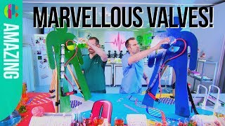 How Does Blood Move Around Our Bodies Youtube How Does Blood Move Around Our Bodies Youtube