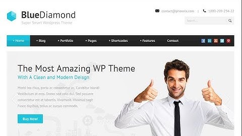 HOW TO CUSTOMIZE BLUE DIAMOND BUSINESS WORDPRESS THEME LIKE ANY OTHER THEME
