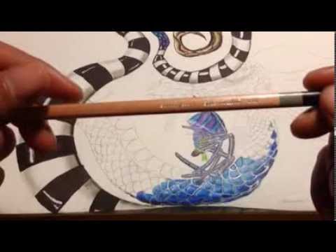 Master This Skill Before Your First Colored Pencil Drawing! 