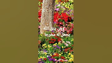 القرآن الكريم/بصوت الحاج عامر الكاظمي//اللهم صلى وسلم على نبينا محمد