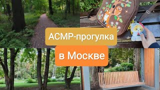 картинка: АСМР Влог из Москвы / Прогулка в Измайловском парке, закадровый близкий шепот 
