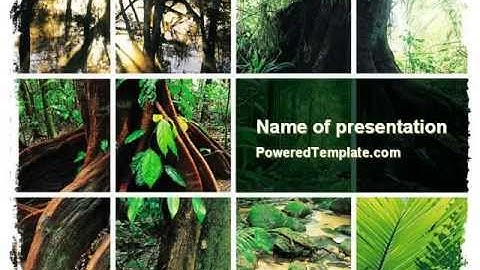 Jungle PowerPoint Template by PoweredTemplate.com
