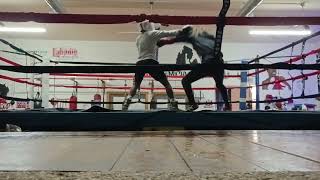 Technical and entertaining sparring session!  Subscribe to see more sparring              