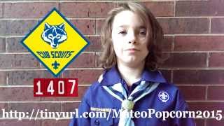 Mateo's 2015 Cub Scouts Popcorn sell