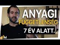 Anyagi FÜGGETLENSÉG 7 év alatt?  || A terv.