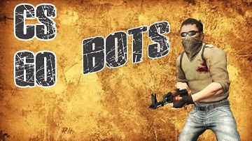 CS GO Fun WITH BOTS