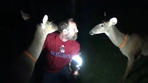 sansi 9w led bulb review