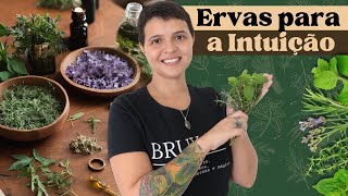 Descubra 7 ervas para despertar e fortalecer a Intuição - Bruxaria e Magia Natural