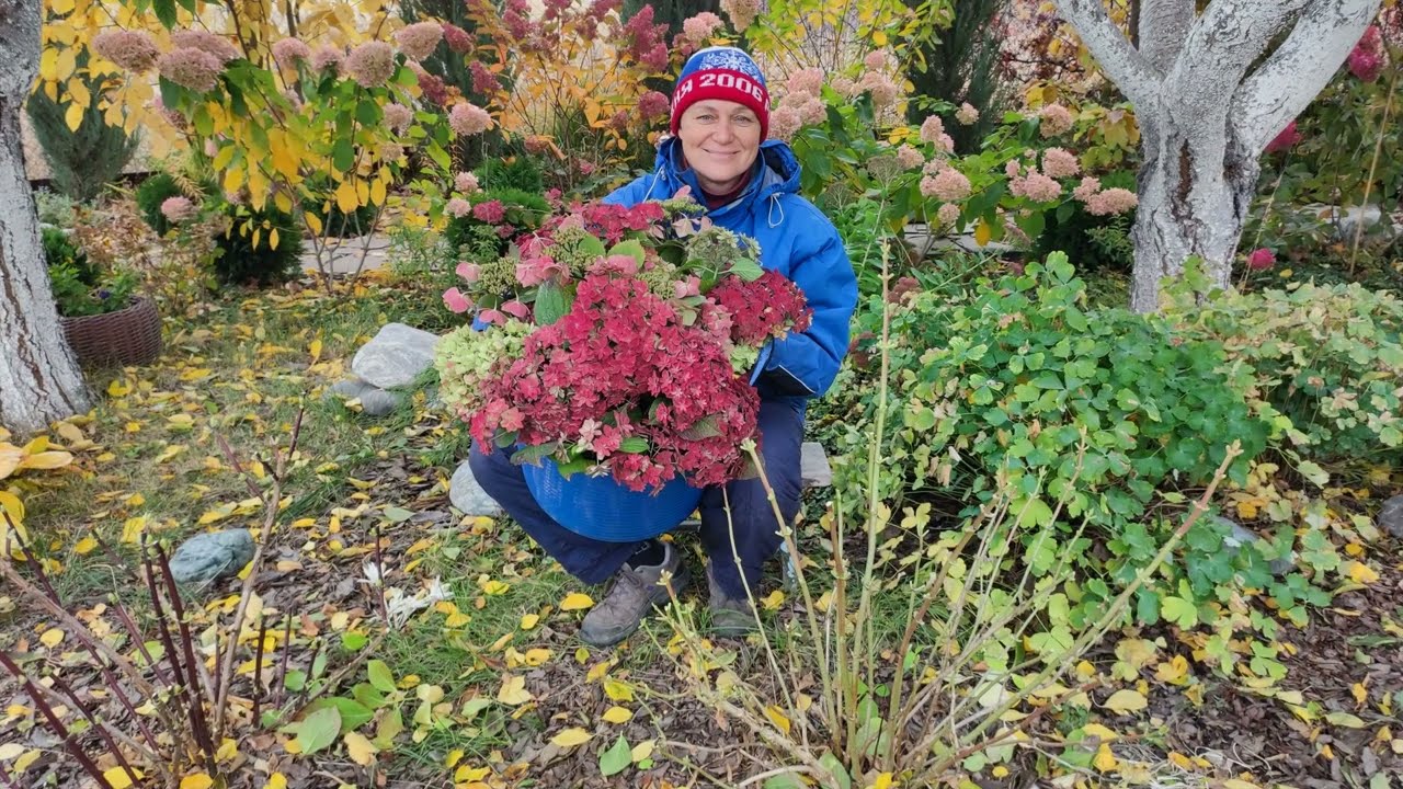 Наш сад в конце октября.
