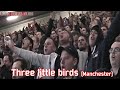 Three little birds in Manchester (Ajax)