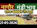 नागौर मंडी भाव /21/05/2026 जीरा सौफ इसबगोल मे तेजी | Jeera Bhav | सौफ भाव | Nagaur Mandi Bhav today