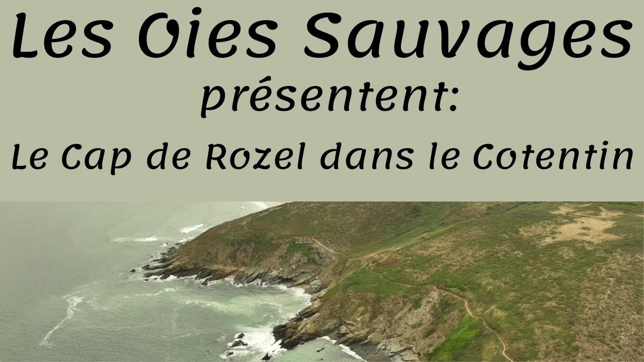 Le Cap du Rozel dans la Manche, presqu'île du Cotentin