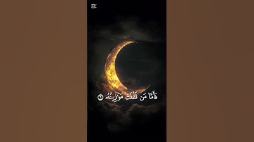 ⚡ "سورة القارعة… تذكير يهز القلوب ويوقظ الأرواح ✨"