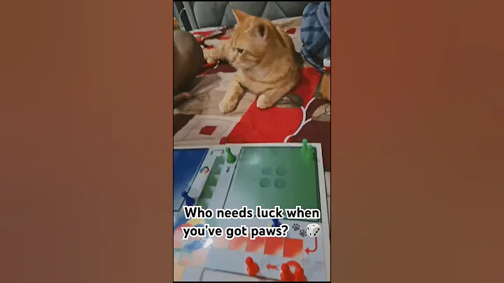 Watch the video about Who needs luck when you’ve got paws? 🐾🎲 #SinzoPlays” #games #funny #cat #catlover #catlove #cute