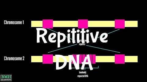 Repetitive DNA | Interspersed Elements | Satellite | Minisatellite | Microsatellite |