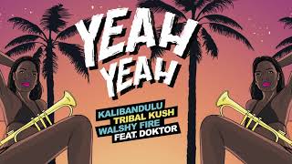 DJ Moiz,Tribal Kush,Walshy Fire Feat. Doktor - Yeah Yeah (Original Mix)