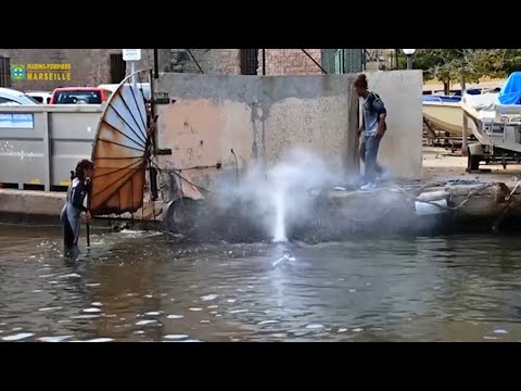 Raw: Whale Flounders in Marseille Harbor