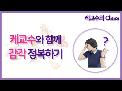 감각(Sensory)완전정복 1~3부 - [케교수의 Class]