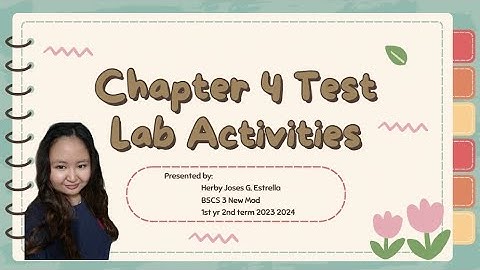 Chapter 4 Test Lab Activities - Object Oriented Programming Finals (by Herby Estrella)