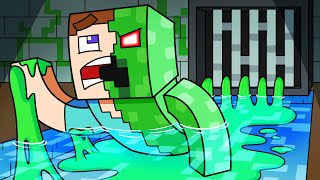 The ORIGIN of Minecraft MOBS... (Cartoon Animation)